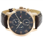 Montre Tommy Hilfiger pour homme 1791399