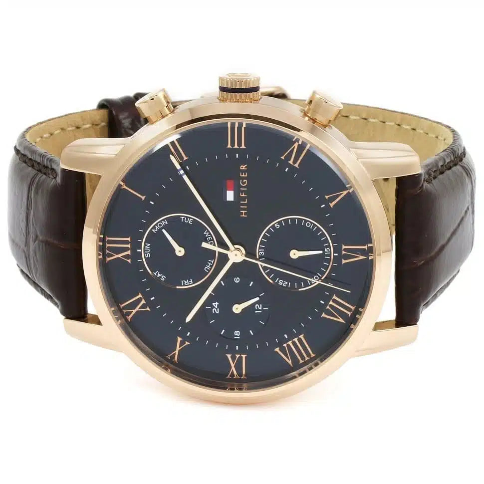 Montre Tommy Hilfiger pour homme 1791399