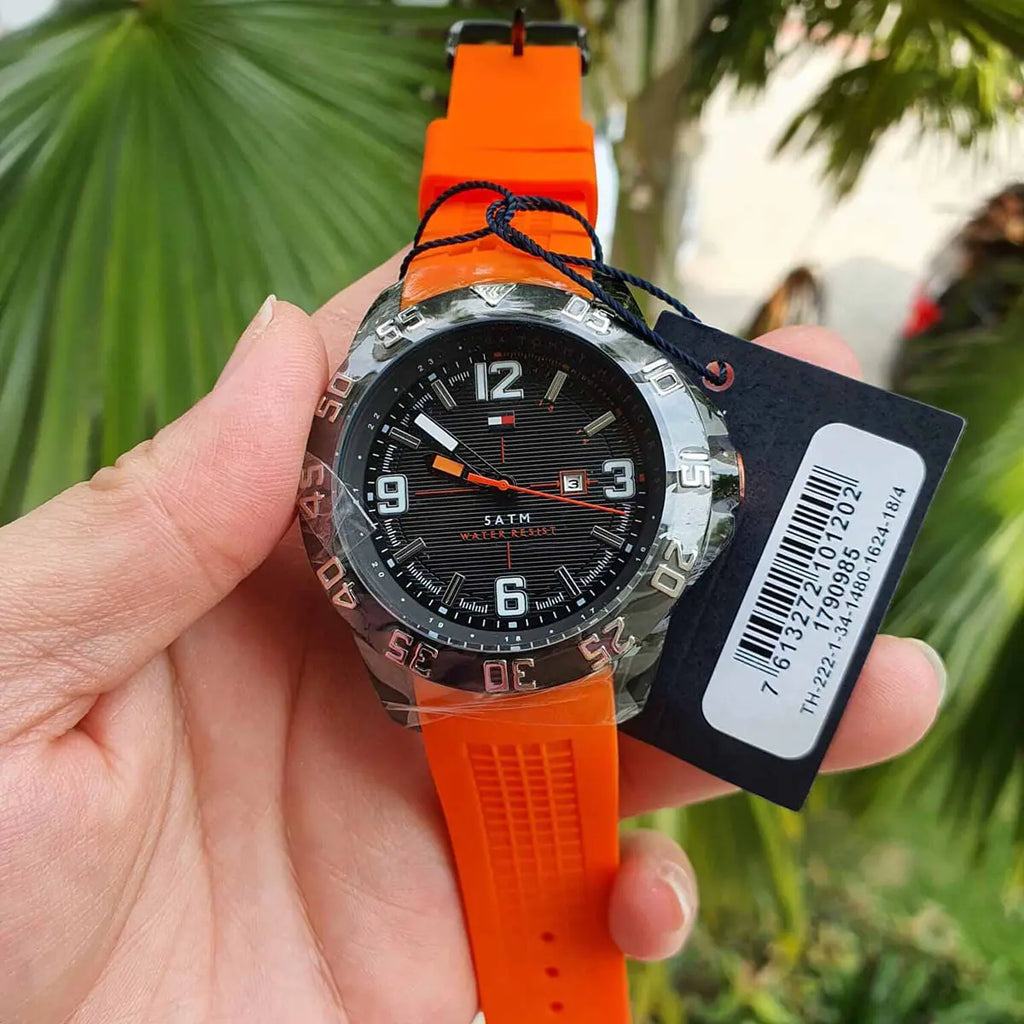 Montre Tommy Hilfiger pour homme 1790985