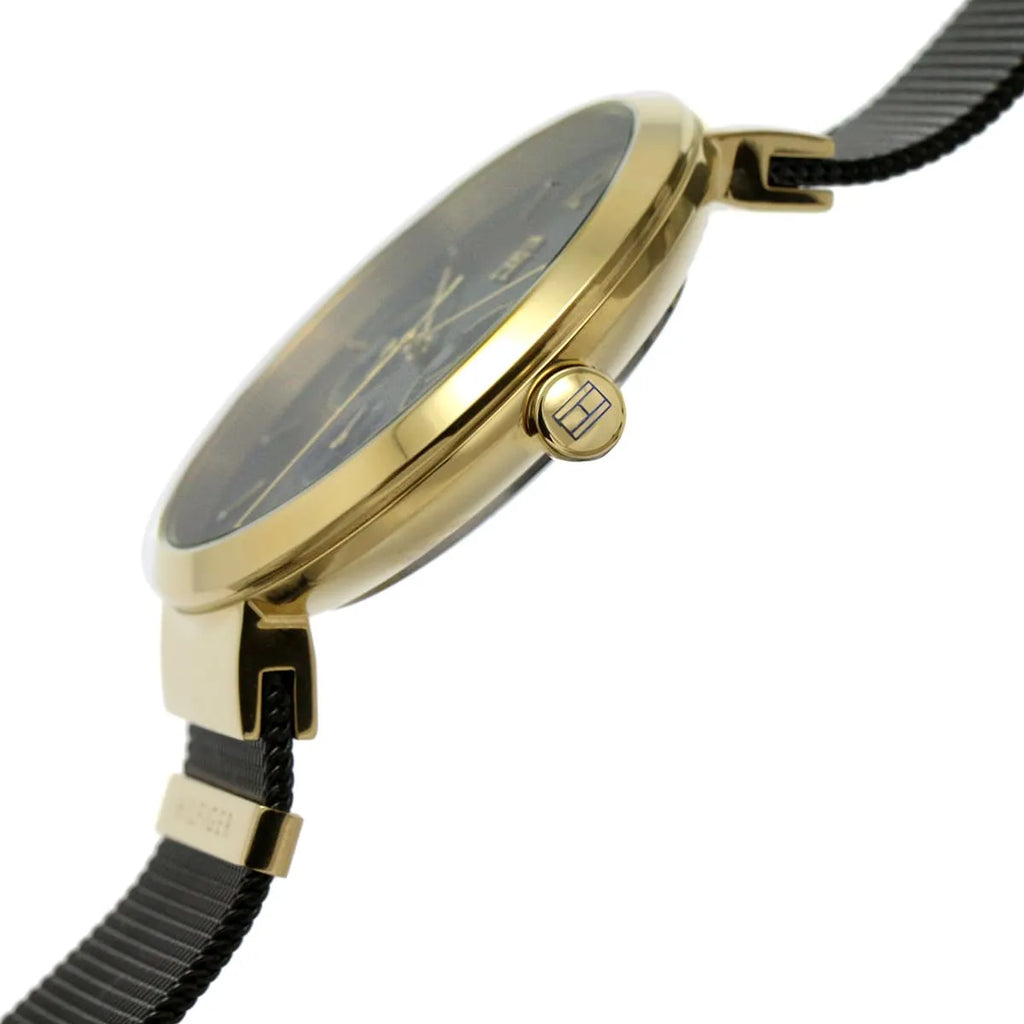 Montre Tommy Hilfiger pour femme 1782540