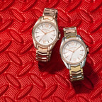 Montre Michael Kors pour femme MK6694