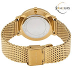 Montre Michael Kors pour femme MK4339