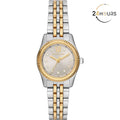 Montre Michael Kors pour femme MK4815