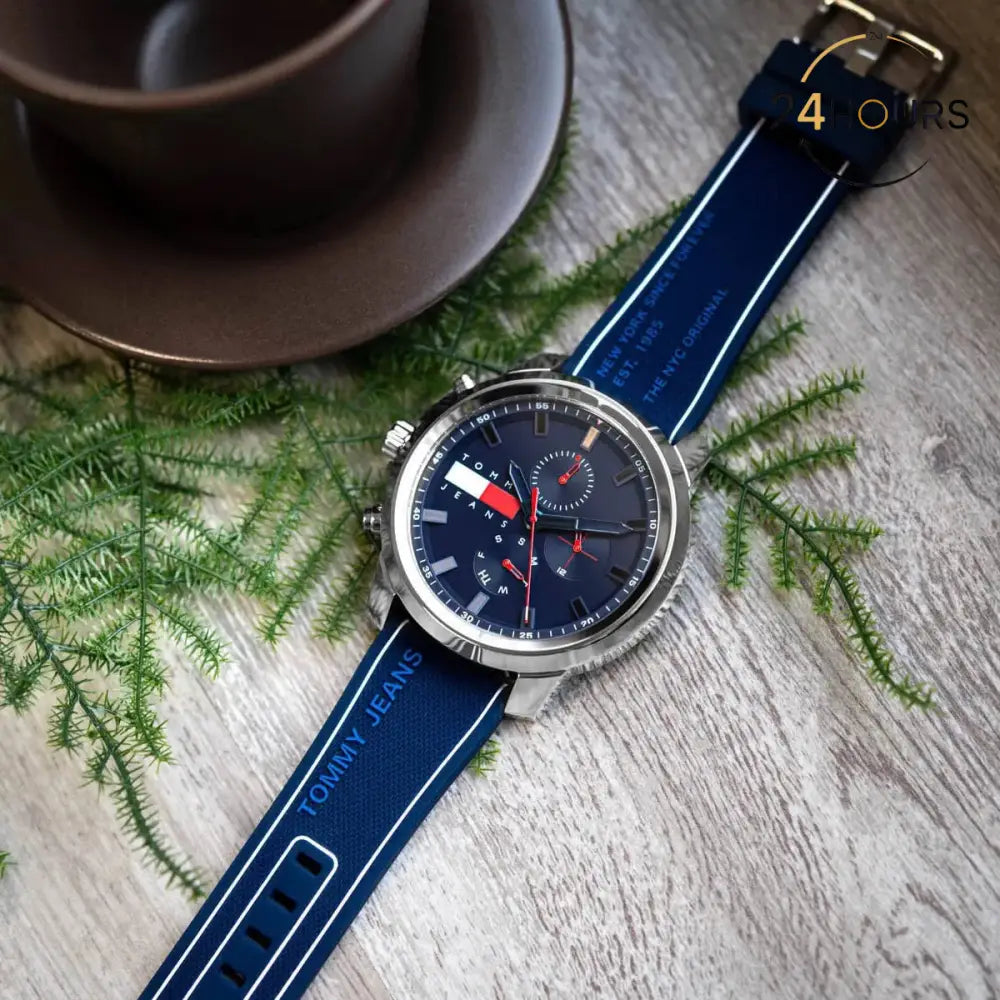 Montre Tommy Hilfiger pour homme 1710582