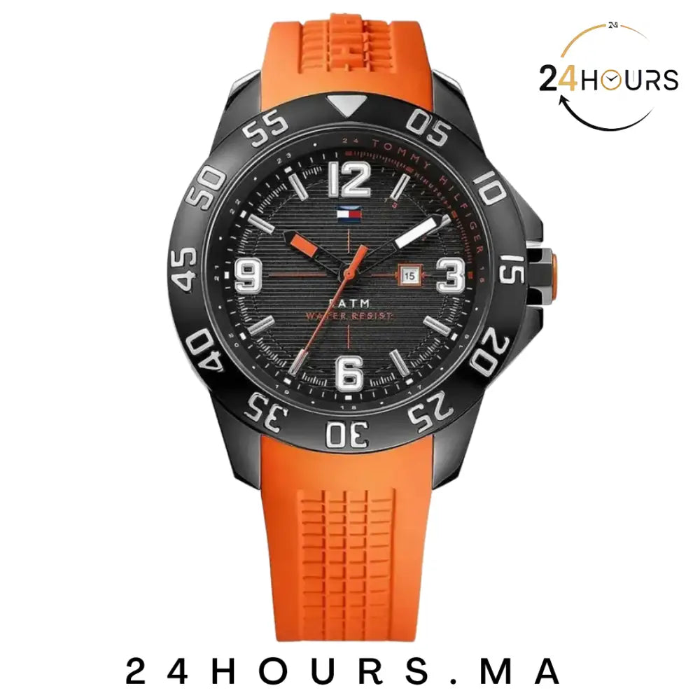 Montre Tommy Hilfiger pour homme 1790985