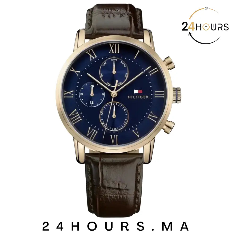 Montre Tommy Hilfiger pour homme 1791399